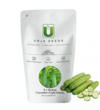 Cucumber US-5050 (Light Green) 50 grams